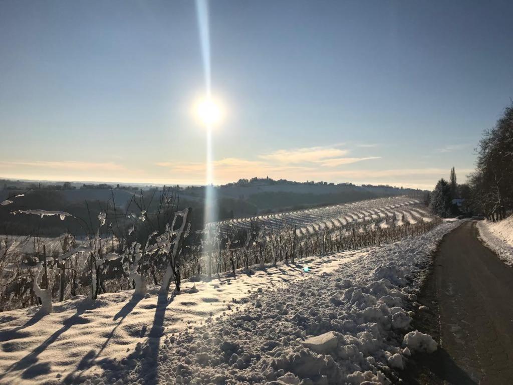 Turisticna Kmetija Hlebec Villa Kog Esterno foto
